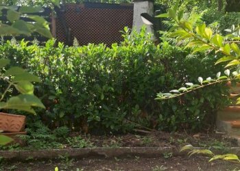 Foto 25 - Villa a Schiera VIA POGGETTO PODERINA
 
66, Bibbiena - foto 25