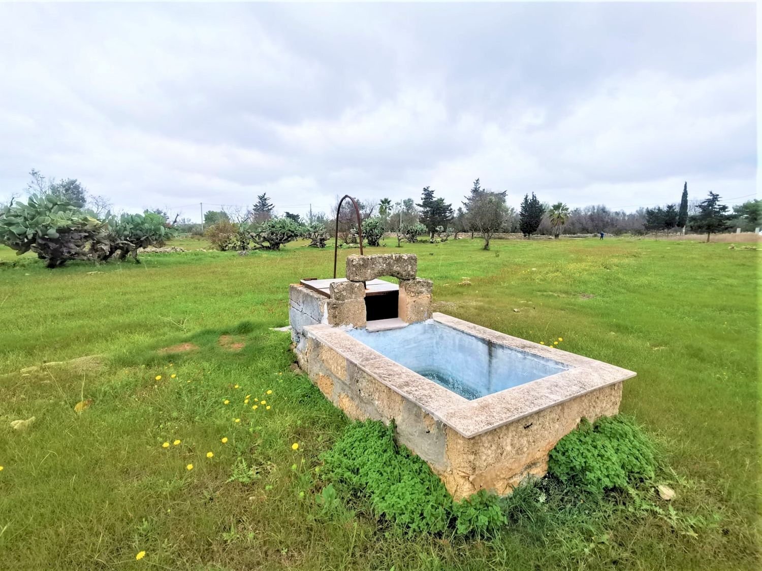 terreno - Agricultural land Alezio - photo 2