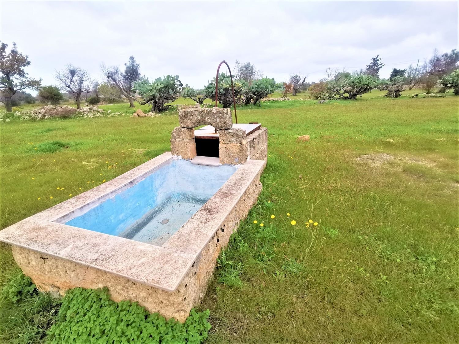 piscina - Agricultural land Alezio - photo 3