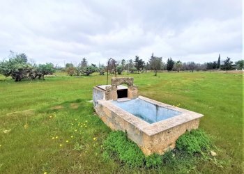 terreno - Agricultural land Alezio - photo 2