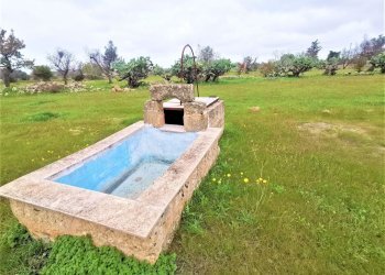 piscina - Agricultural land Alezio - photo 3