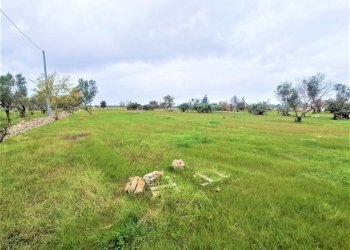 terreno - Agricultural land Alezio - photo 5