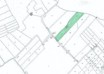 terreno - Agricultural land Alezio - photo 10