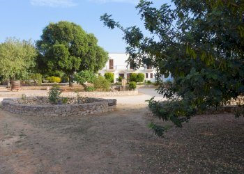 giardino - Stabile - Palazzo vicinale arene spirito santo, Gallipoli - foto 8