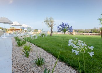 giardino - Stabile - Palazzo vicinale arene spirito santo, Gallipoli - foto 13