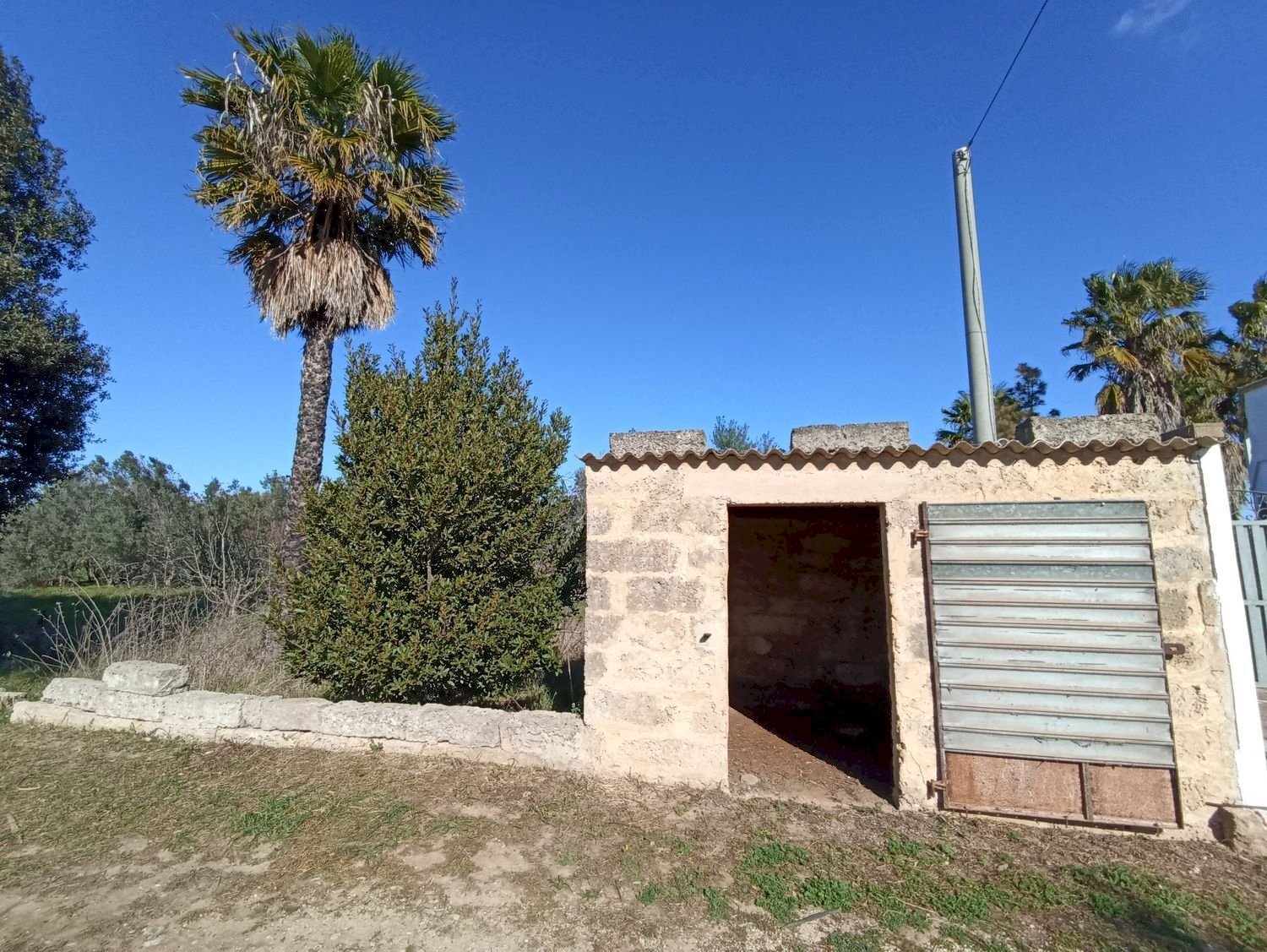 Foto 3 - Agricultural land sp361, Gallipoli - photo 3