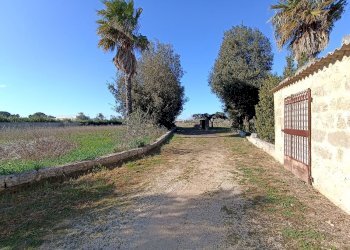 Foto 1 - Agricultural land sp361, Gallipoli - photo 1