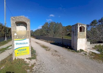 Foto 2 - Agricultural land sp361, Gallipoli - photo 2