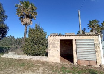 Foto 3 - Agricultural land sp361, Gallipoli - photo 3