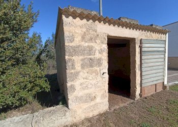 Foto 4 - Agricultural land sp361, Gallipoli - photo 4