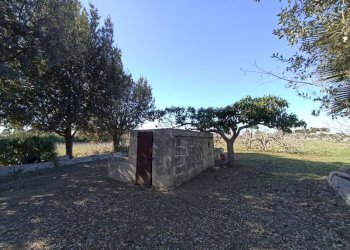 Foto 5 - Agricultural land sp361, Gallipoli - photo 5