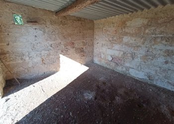 Foto 6 - Agricultural land sp361, Gallipoli - photo 6