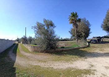 Foto 10 - Agricultural land sp361, Gallipoli - photo 10