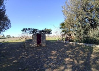 Foto 11 - Agricultural land sp361, Gallipoli - photo 11