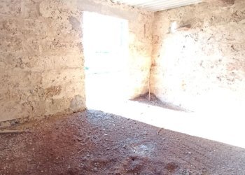 Foto 18 - Agricultural land sp361, Gallipoli - photo 18