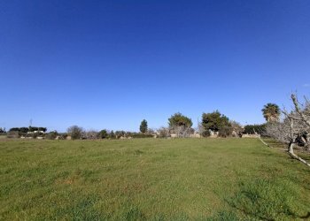 Foto 19 - Agricultural land sp361, Gallipoli - photo 19