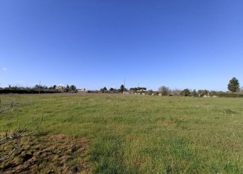 Foto 22 - Agricultural land sp361, Gallipoli - photo 22