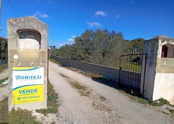 Foto 23 - Agricultural land sp361, Gallipoli - photo 23