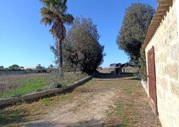 Foto 25 - Agricultural land sp361, Gallipoli - photo 25