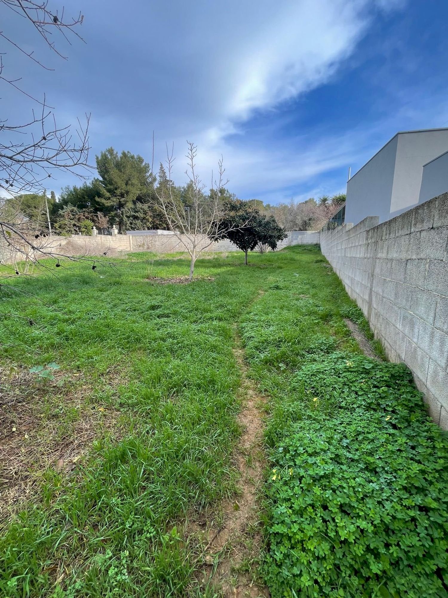 terreno - Building land degli Ulivi, Sannicola - photo 2