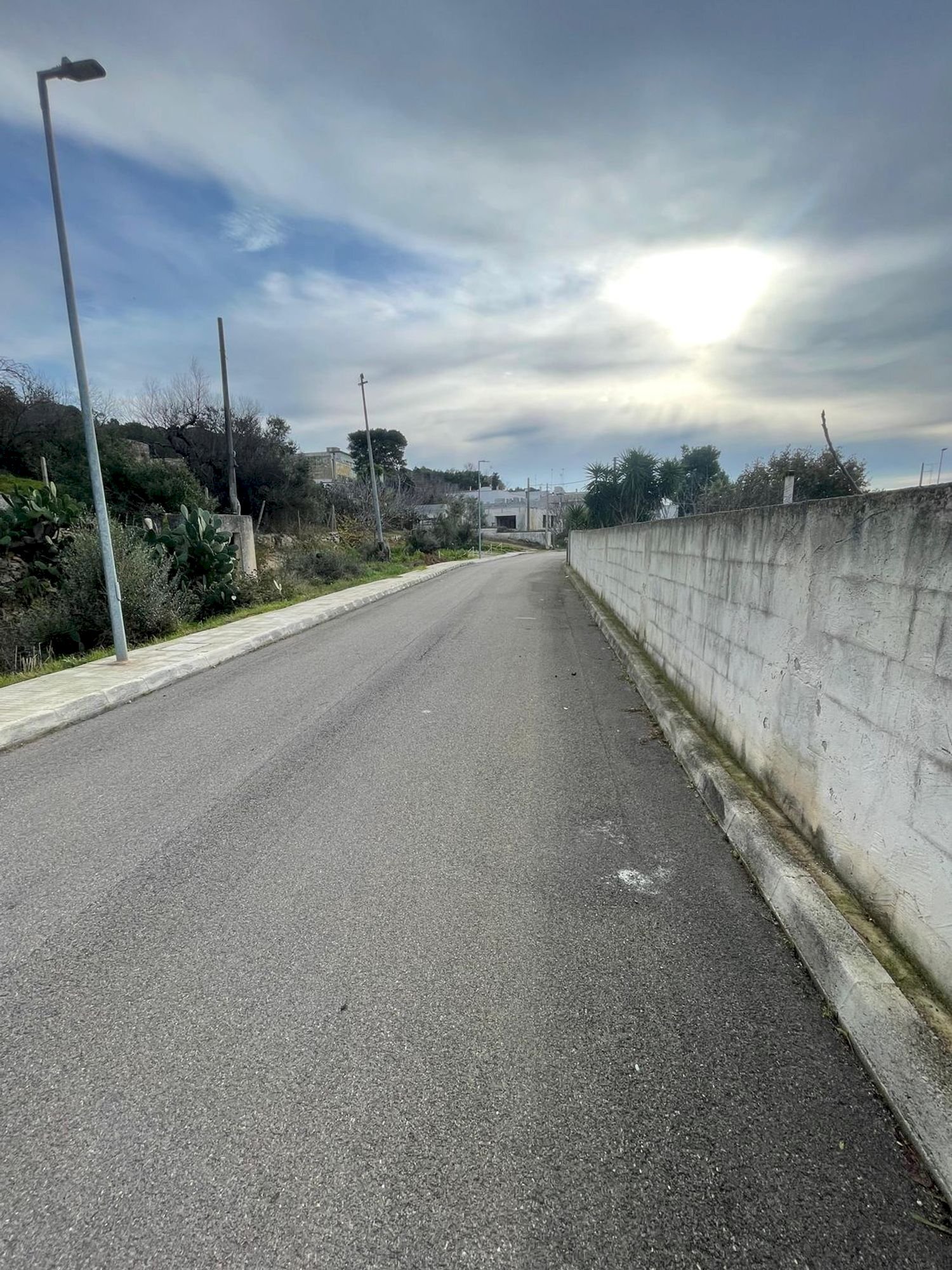 terreno - Building land degli Ulivi, Sannicola - photo 3