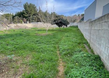 terreno - Building land degli Ulivi, Sannicola - photo 2