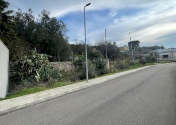 terreno - Building land degli Ulivi, Sannicola - photo 4