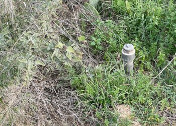 terreno - Building land degli Ulivi, Sannicola - photo 6