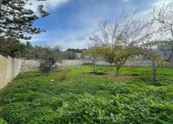 terreno - Building land degli Ulivi, Sannicola - photo 8