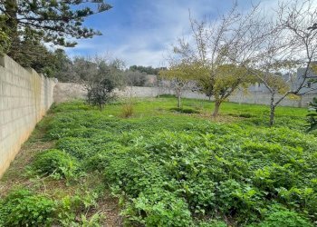 terreno - Building land degli Ulivi, Sannicola - photo 9