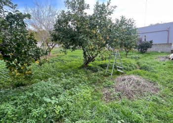 terreno - Building land degli Ulivi, Sannicola - photo 11