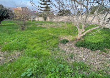 terreno - Building land degli Ulivi, Sannicola - photo 12