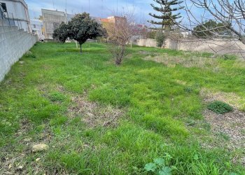 terreno - Building land degli Ulivi, Sannicola - photo 13