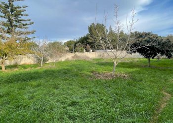 terreno - Building land degli Ulivi, Sannicola - photo 14