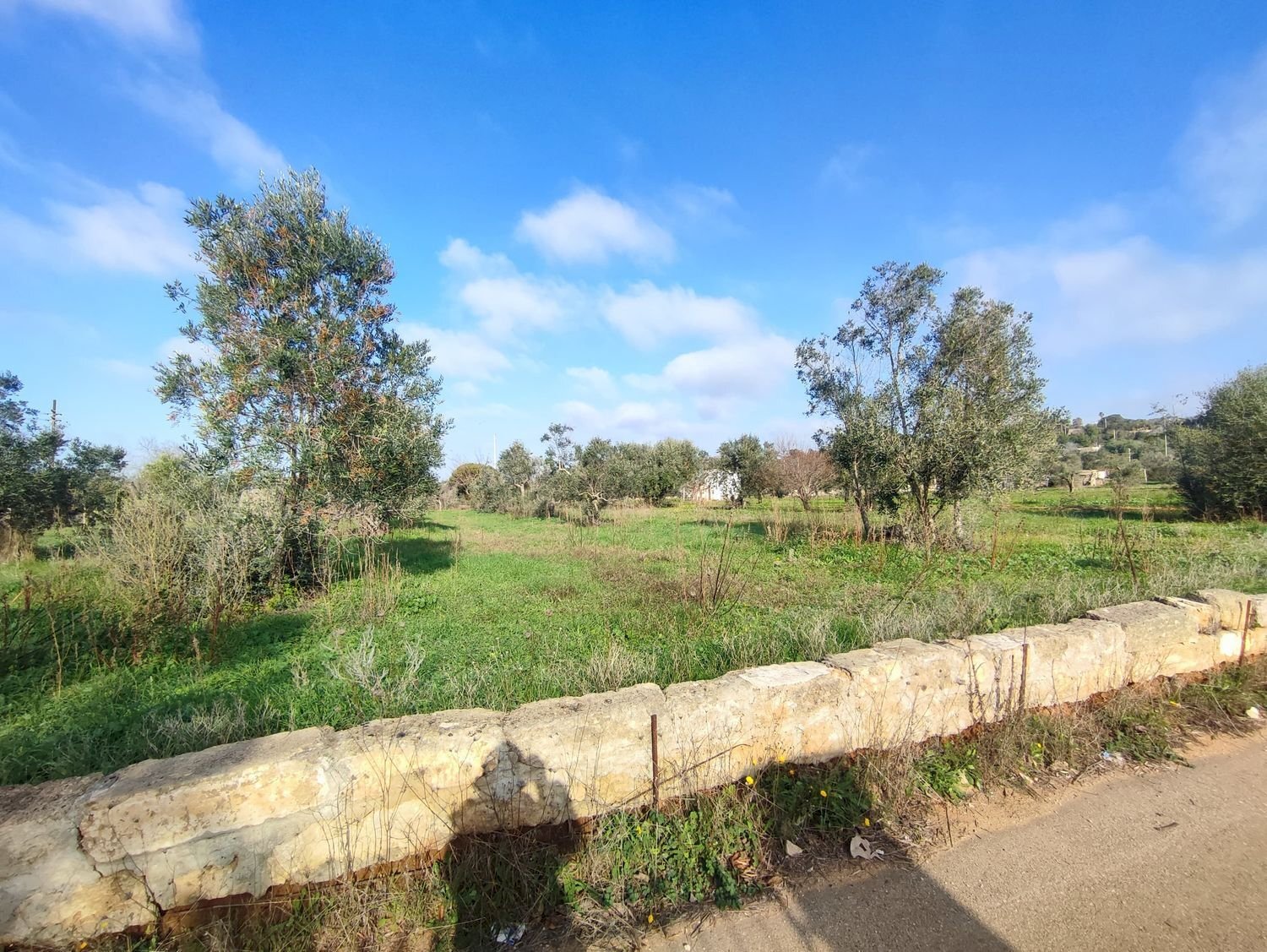 Foto 3 - Agricultural land Tuglie, Tuglie - photo 3
