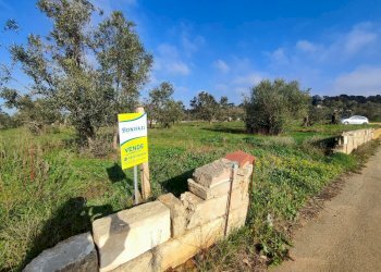 Foto 1 - Agricultural land Tuglie, Tuglie - photo 1