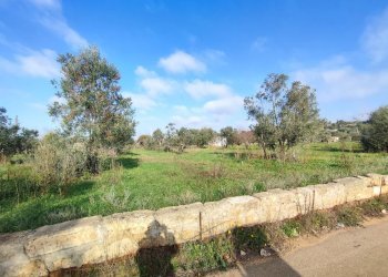 Foto 3 - Agricultural land Tuglie, Tuglie - photo 3