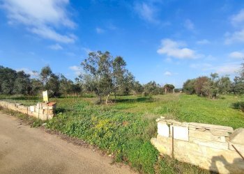 Foto 6 - Agricultural land Tuglie, Tuglie - photo 6