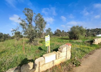 Foto 7 - Agricultural land Tuglie, Tuglie - photo 7