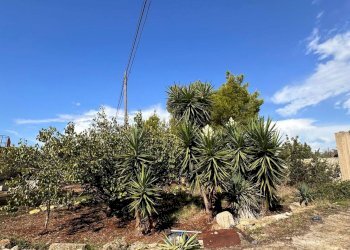 giardino - Casa indipendente San Latteri, Parabita - foto 19
