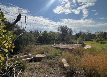 giardino - Casa indipendente San Latteri, Parabita - foto 20