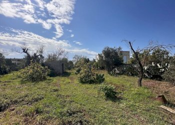 giardino - Casa indipendente San Latteri, Parabita - foto 21