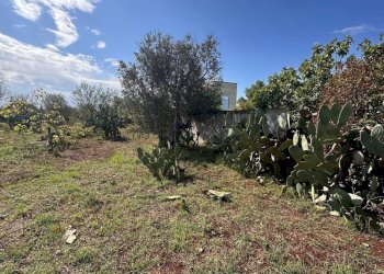 giardino - Casa indipendente San Latteri, Parabita - foto 22