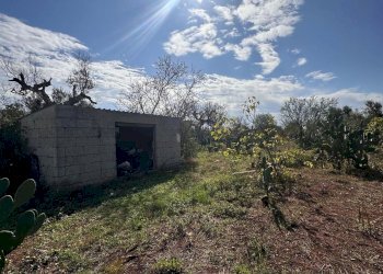 facciata - Casa indipendente San Latteri, Parabita - foto 24