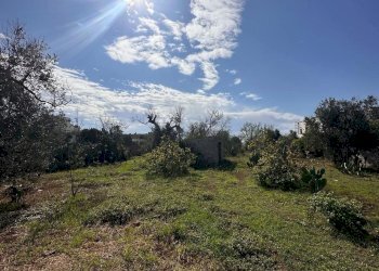 giardino - Casa indipendente San Latteri, Parabita - foto 25