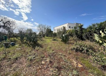 giardino - Casa indipendente San Latteri, Parabita - foto 26