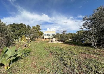 giardino - Casa indipendente San Latteri, Parabita - foto 28