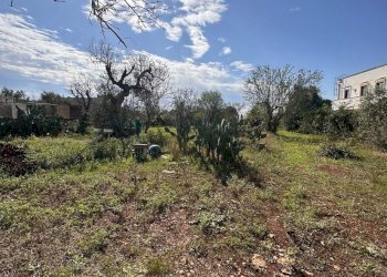 giardino - Casa indipendente San Latteri, Parabita - foto 29