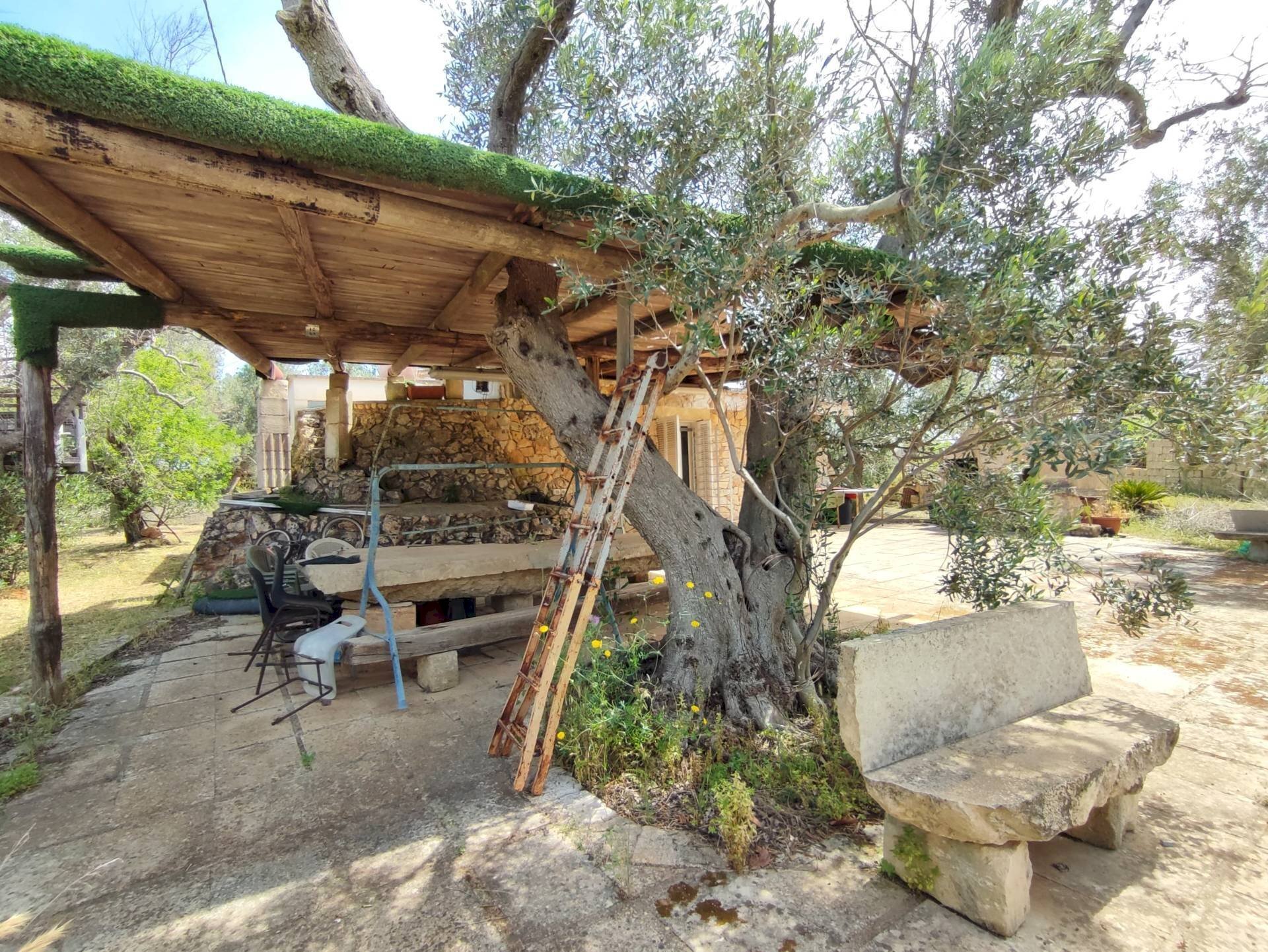 Foto 2 - Casa indipendente Sannicola - foto 2