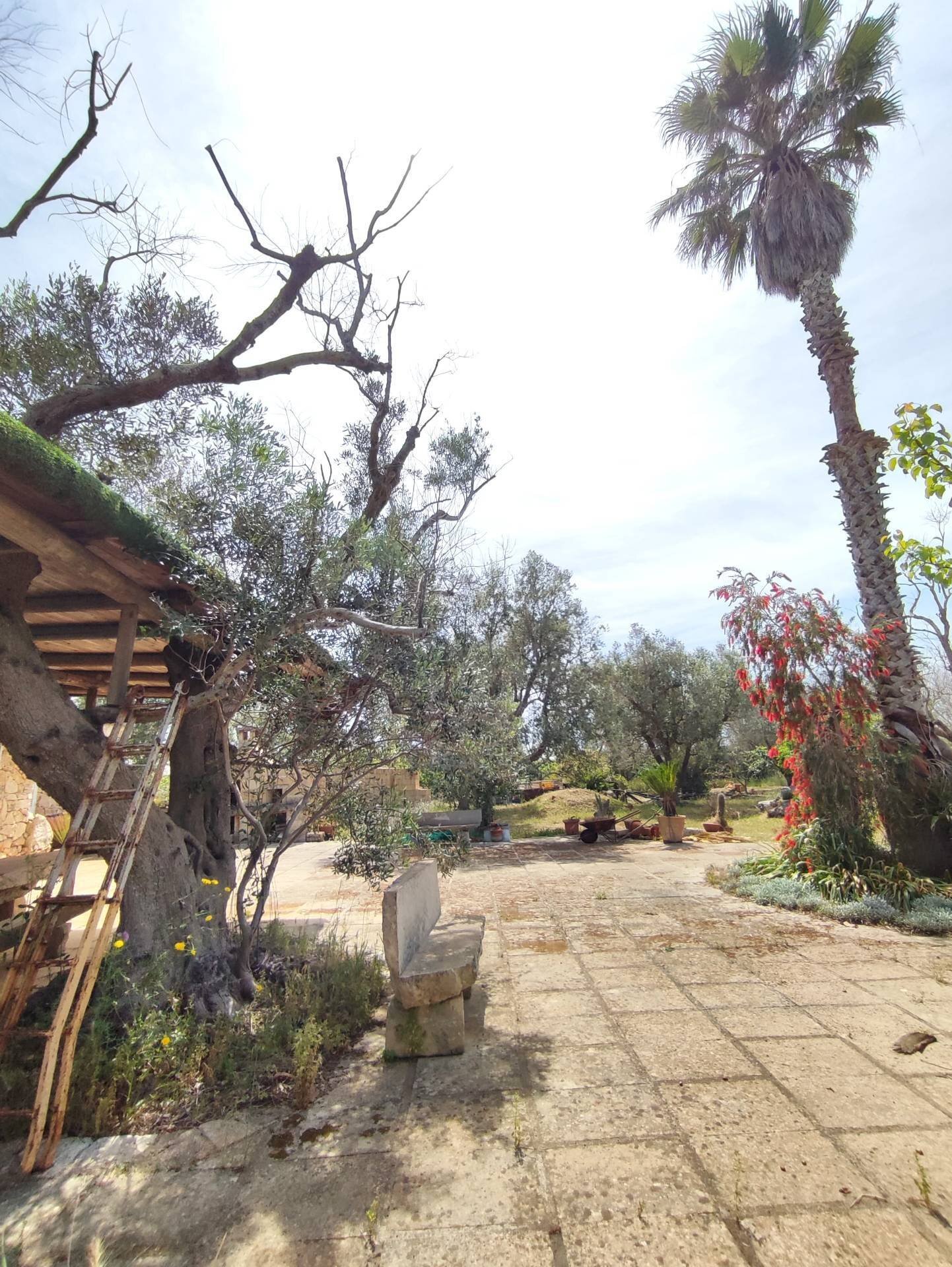 Foto 3 - Casa indipendente Sannicola - foto 3